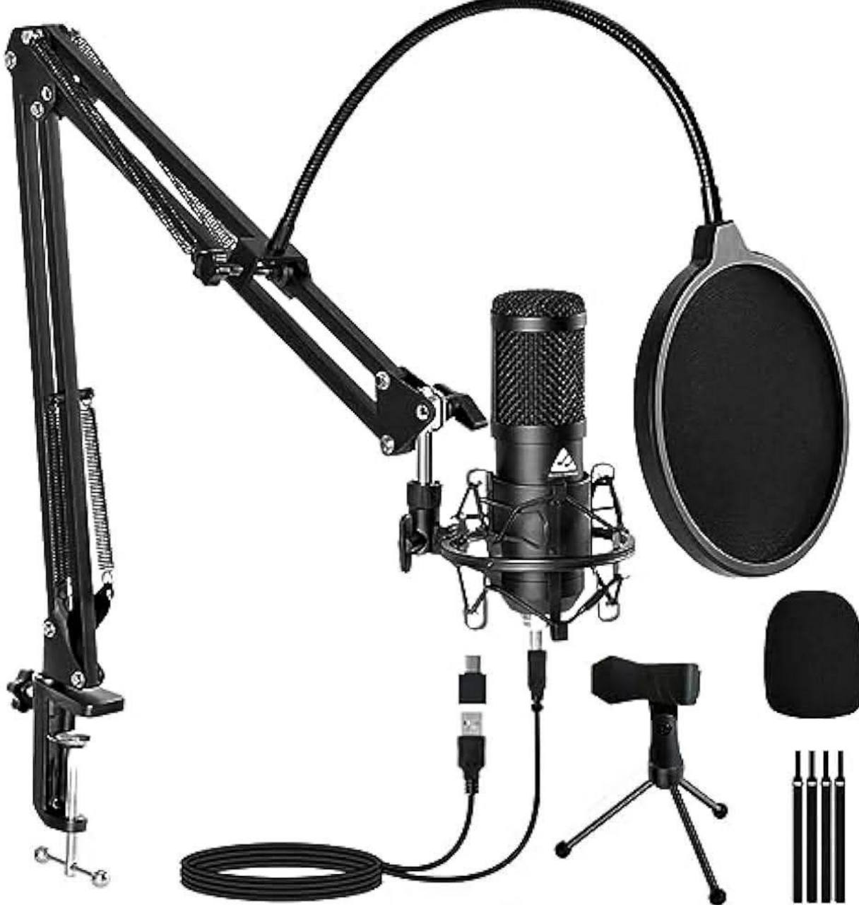 condenser mic professional   